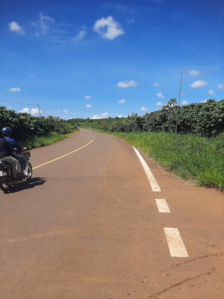 Đất nền 1250m² mặt tiền đường nhựa Lộc Nga chỉ 1.4 tỷ - Sổ vuông đẹp, thương lượng ngay!