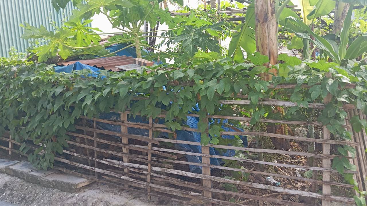 Đất nền Cán Khê, Nguyên Khê 105m² giá 6 tỷ - Ô tô vào đất, mặt tiền đẹp!