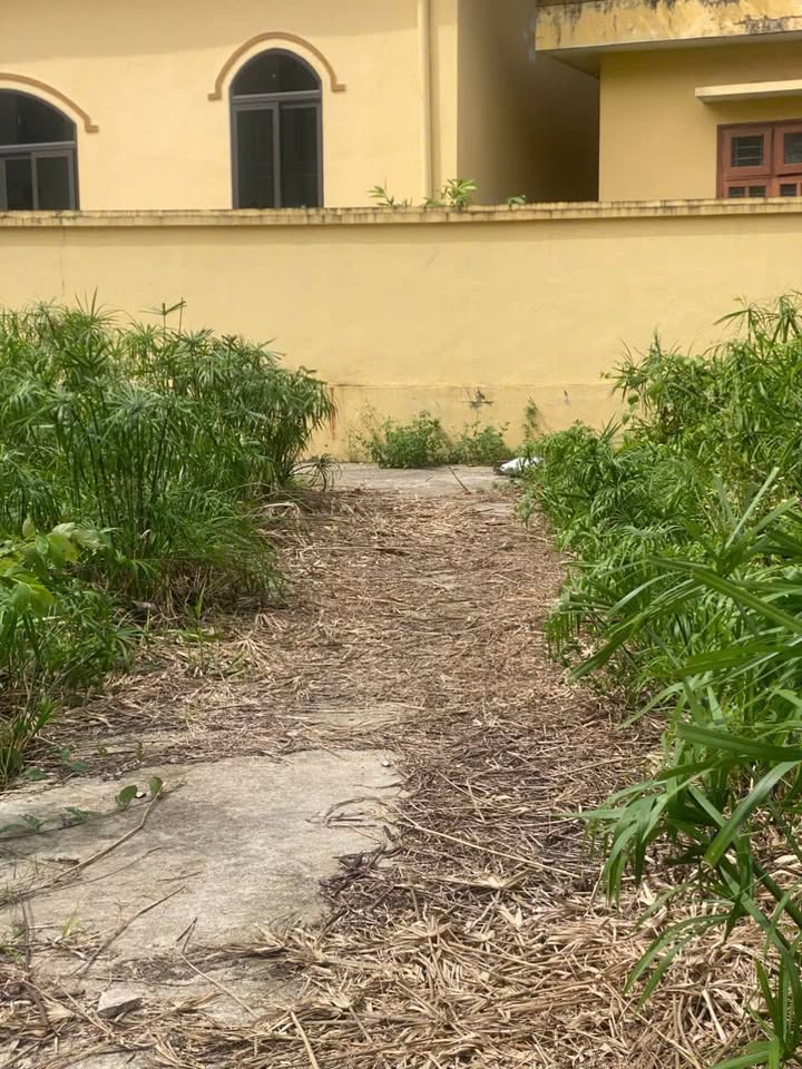 Đất nền khu phố chợ Bình Minh, Thanh Oai 47,5m² giá 3,05 tỷ - Gần chợ, giao thông thuận lợi!