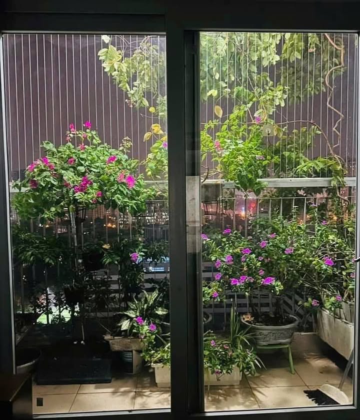 Căn hộ chung cư Thông Tấn Xã Hoàng Mai 84m² giá 6 tỷ - Sẵn sàng vào ở ngay!