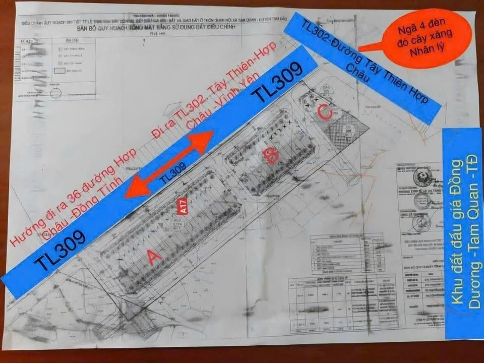 Đất phân lô tại TL309, Tam Quan, Tam Đảo 100m² giá 1.5 tỷ - Cơ hội đầu tư hấp dẫn!