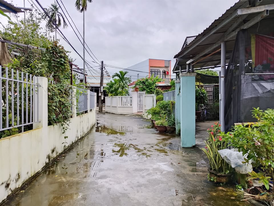 Đất nền An Trạch Hòa Tiến 260m² giá chỉ 1 tỷ - Đầu tư sinh lời!