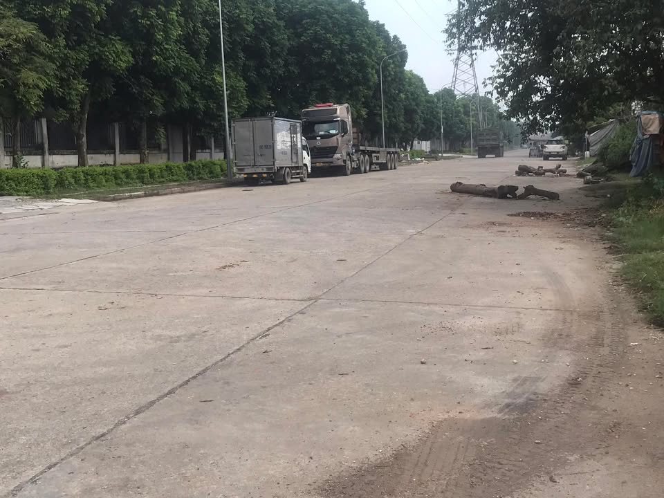 Đất thổ cư tại khu tái định cư Thụy Vân 203m² giá 2 tỷ - Kinh doanh thuận lợi!