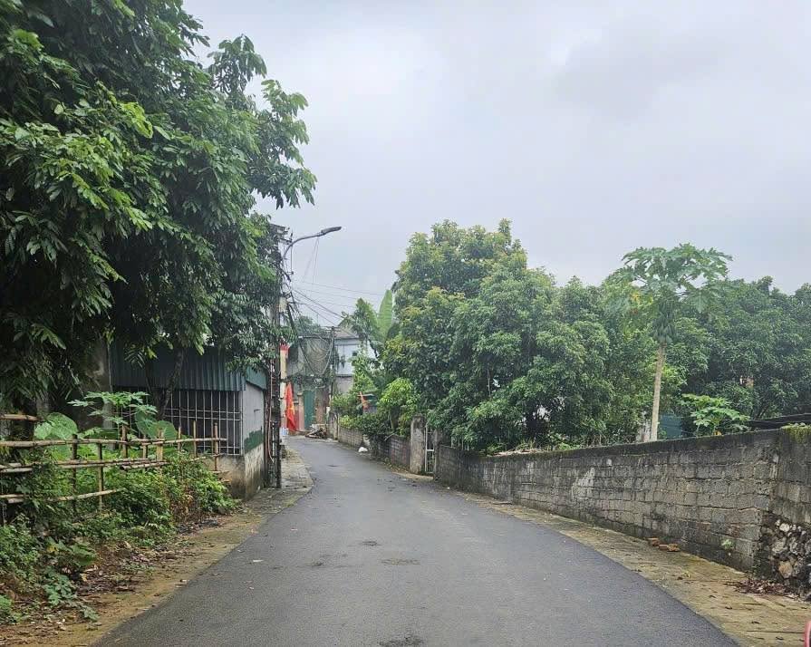 Đất nền Phường Thống Nhất, Việt Trì 110m² giá 1,1 tỷ - Đường lớn, vị trí thuận lợi!