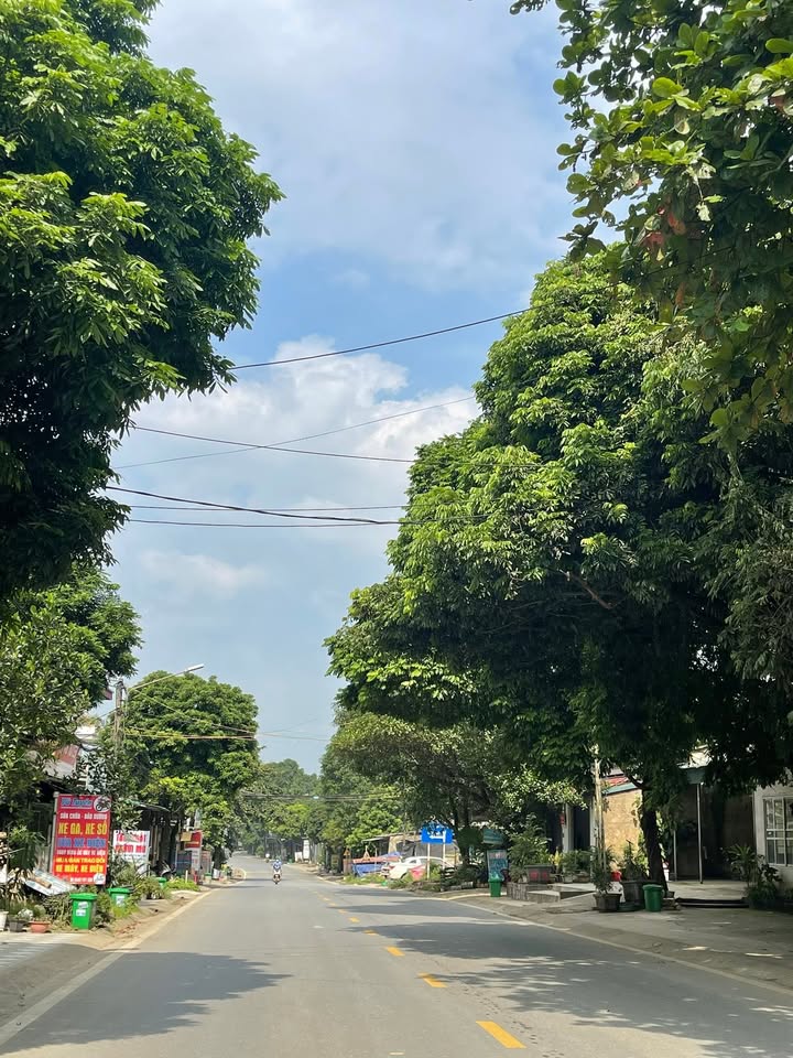 Đất Tặng Nhà Tạm Mặt Đường TL 151, Tằng Loỏng 98m² - Vị trí đẹp, Kinh doanh thuận lợi!