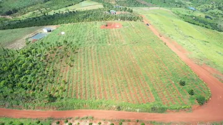 Đất nền xã Trường Xuân, Đắk Song 300m² giá 3 tỷ - Vị trí vàng cho kinh doanh!