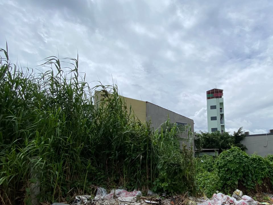 Bán đất liền kề Đường Lý Thái Tổ, Long Xuyên, 75m² - Giá tốt chỉ 3 tỷ