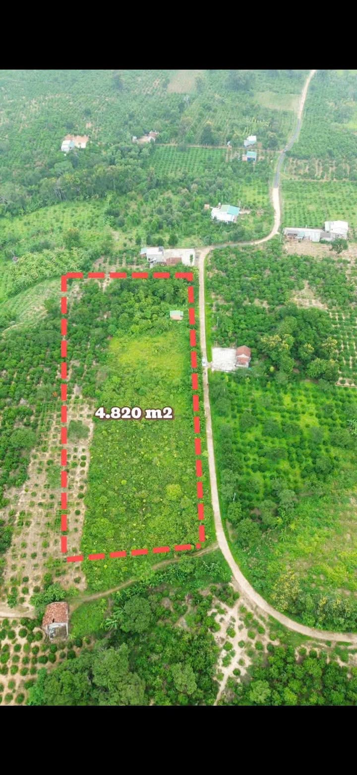 Đất nền 4,8 sào thôn 13, xã Phú Xuân giá 1,1 tỷ - Đầu tư sinh lời ngay!