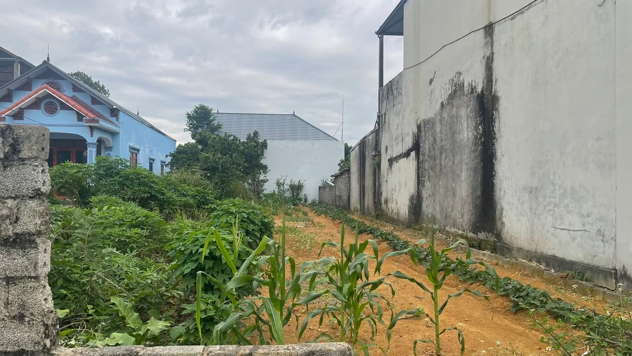 Lô đất kinh doanh 196m² trục chính Đông Yên - Giá chỉ 3 tỷ - Tiềm năng sinh lời cao!