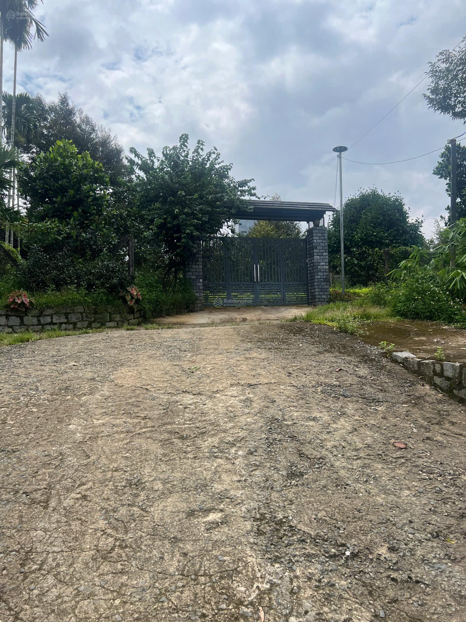 Đất nông nghiệp cho thuê tại Thị trấn Đạ M'Ri, 8884m² - Thời gian linh hoạt