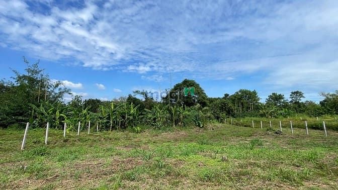 Đất nền 327m² xã Xuân Quế, Đồng Nai - Giá chỉ 850 triệu, góc 2 mặt tiền!