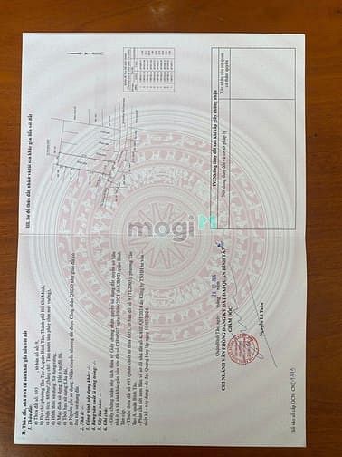 Nhà cấp 4 Tân Tạo A 89m² giá chỉ 3.5 tỷ - Đầu tư sinh lời lý tưởng!