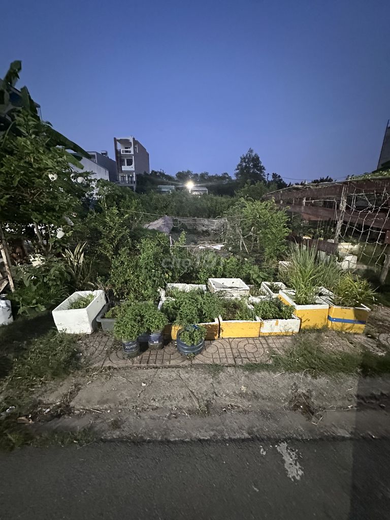 Đất đẹp 60m² cách Nguyễn Duy Trinh 500m, Phú Hữu Thủ Đức giá 3.25 tỷ - Sổ riêng, ô tô vào tận nơi!