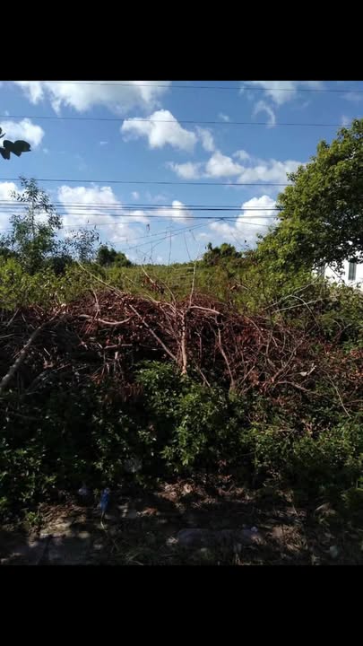 Đất nền đường vào Sân Chim Bạc Liêu 168,5m² giá 780 triệu - Cơ hội đầu tư hấp dẫn!