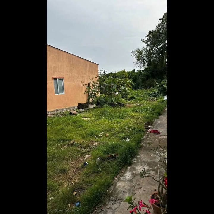 Đất Hẻm Phường 5 Bạc Liêu 256m² giá 1.3 tỷ - Tiện ích đầy đủ, dân cư đông đúc!