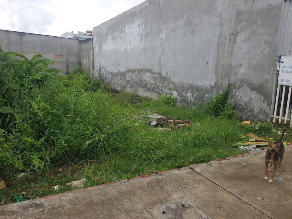 Đất nền đẹp tại Khóm 10, Phường 1 Bạc Liêu 180m² - Giá thỏa thuận hấp dẫn!