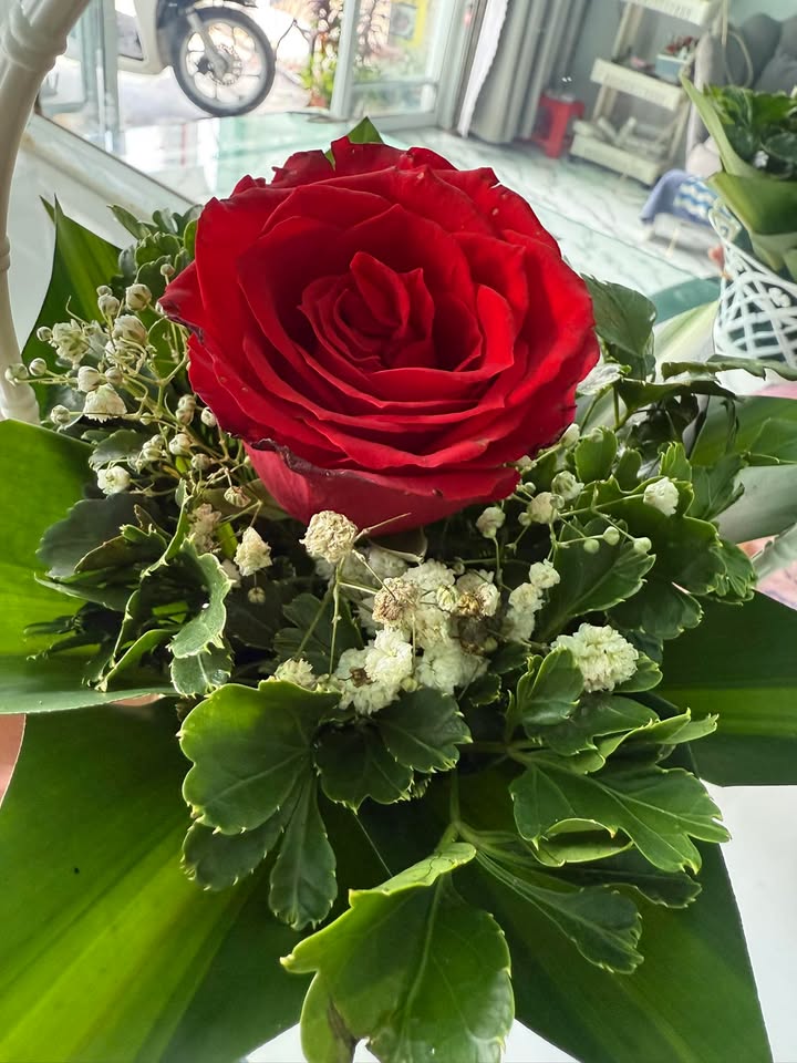 Đất mặt tiền đường Nguyễn Kim Cương, Củ Chi 605m² giá 7.5 tỷ - Cơ hội đầu tư hấp dẫn!