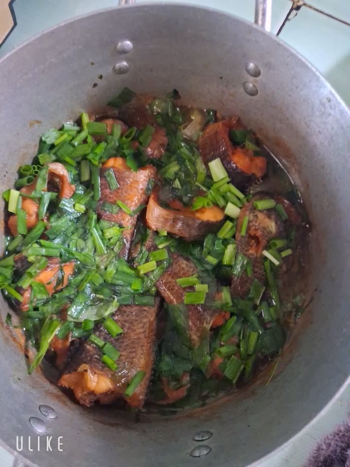 Đất nền mặt tiền kênh 11, xã Tân An Hội, 10.000m² - Giá tốt chỉ 10 tỷ