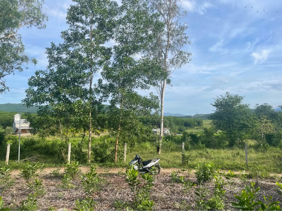 Đất nền Diên Lâm, Diên Khánh 565m² giá 390 triệu - Lập vườn an cư lý tưởng!