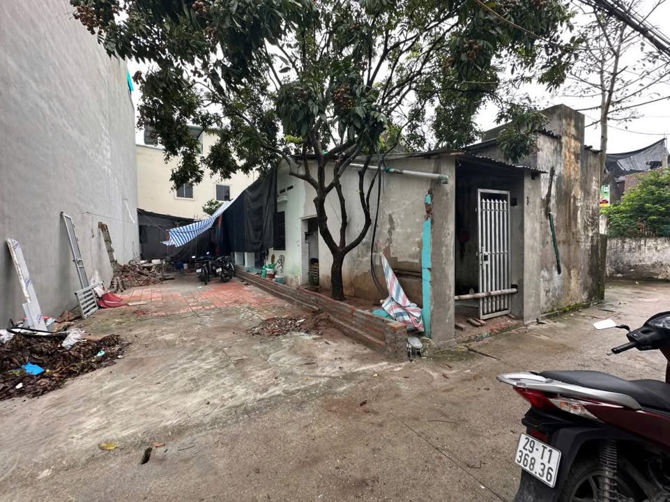 Đất thổ cư mặt đường Tình Lam Đại Thành 96m² - Giá tốt, thuận tiện ô tô tránh!