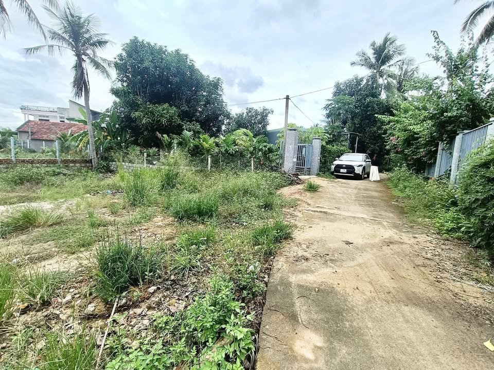 Đất nền 100m² tại Mỹ Lợi, Phù Mỹ chỉ 165 triệu - Đầu tư sinh lời ngay!