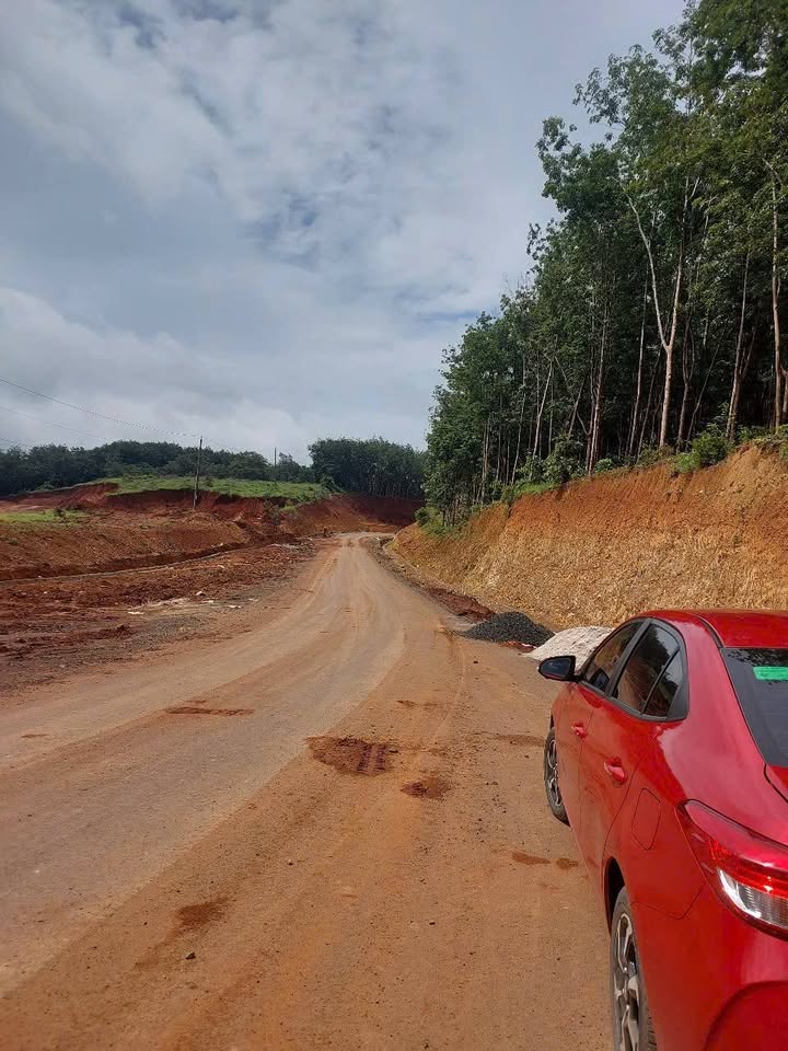 Đất Farm 3,3ha tại Phú Hòa, Phú Riềng - Giá 70 tỷ, cơ hội đầu tư sinh lời!