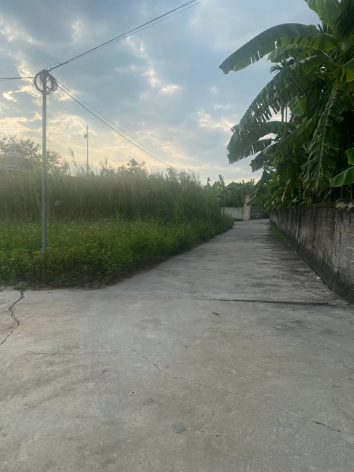 Đất nền Văn Tố - Tứ Kỳ 100m² giá 500 triệu - Mặt tiền 5m, ô tô vào tận đất!