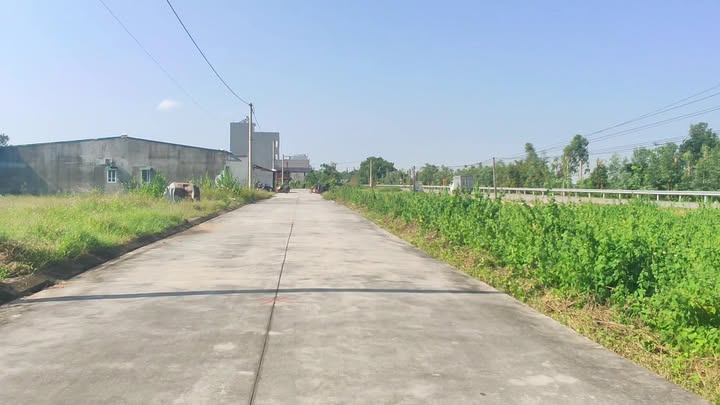 Lô đất 100m² tại Quốc lộ 393, Phạm Trấn, Gia Lộc - Giá cực hấp dẫn 2 tỷ VND!