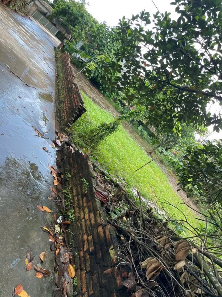 Đất nền 200m² tại Văn Hội, Ninh Giang - Giá cả thỏa thuận, vị trí đắc địa!