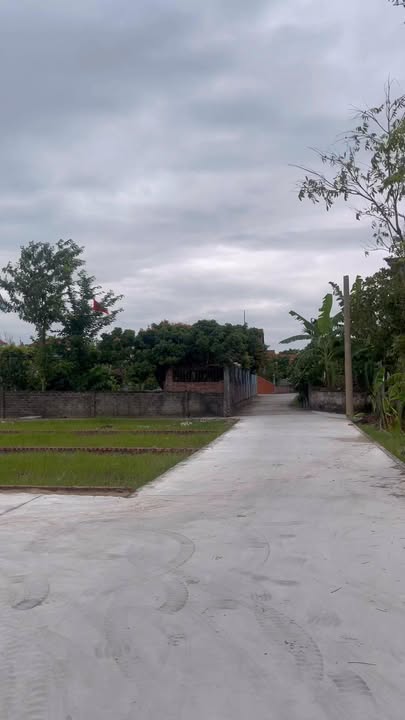 Đất nền Thanh Hồng, Thanh Hà 100m² - Sổ đỏ chính chủ, đầu tư sinh lời!