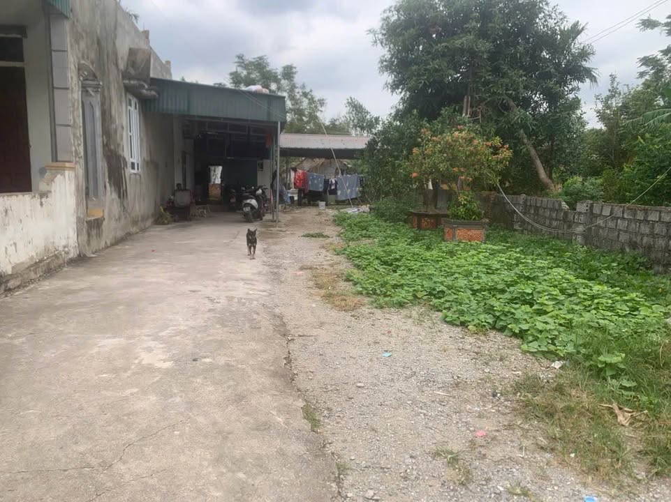 Đất thổ cư 180m² xã Quảng Nhân, giá 1 tỷ - Sổ đỏ chính chủ, đầu tư ngay!