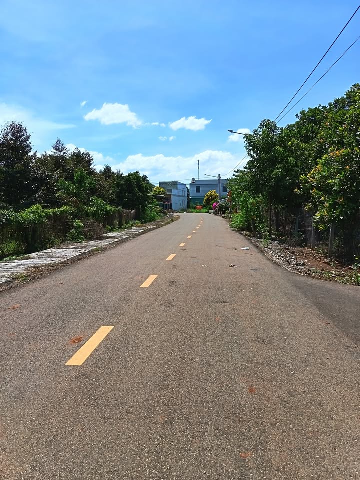 Lô đất góc 2 mặt tiền Long Tân 585m² giá 700 triệu - Cơ hội đầu tư hấp dẫn!