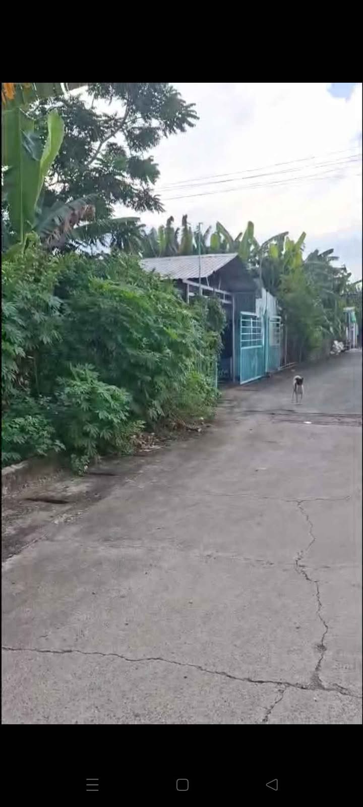 Đất nền Thạnh Phước Tân Uyên 186m² giá 1.6 tỷ - Đường ô tô thoải mái!