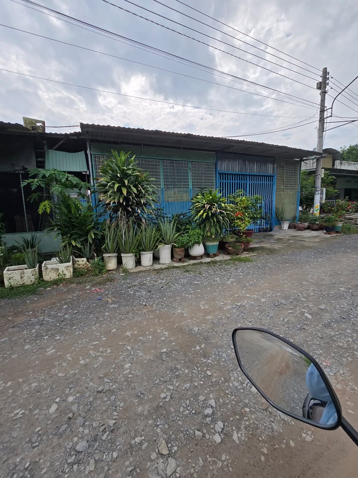 Nhà bán tại khu phố 5, phường Hội Nghĩa, Tân Uyên 580m² giá 5 tỷ - Sổ hồng chính chủ!