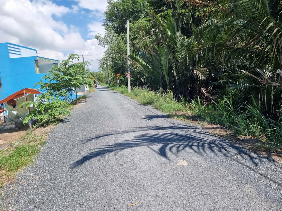 Đất nền mặt tiền nhựa Trà Vinh 459m² giá 1.15 tỷ - Cơ hội đầu tư hiếm có!