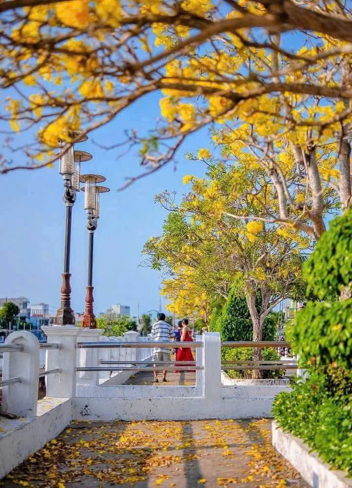 Nhà và đất mặt tiền QL53 Vinh Kim 1387m² giá 4 tỷ - Cơ hội đầu tư tuyệt vời!