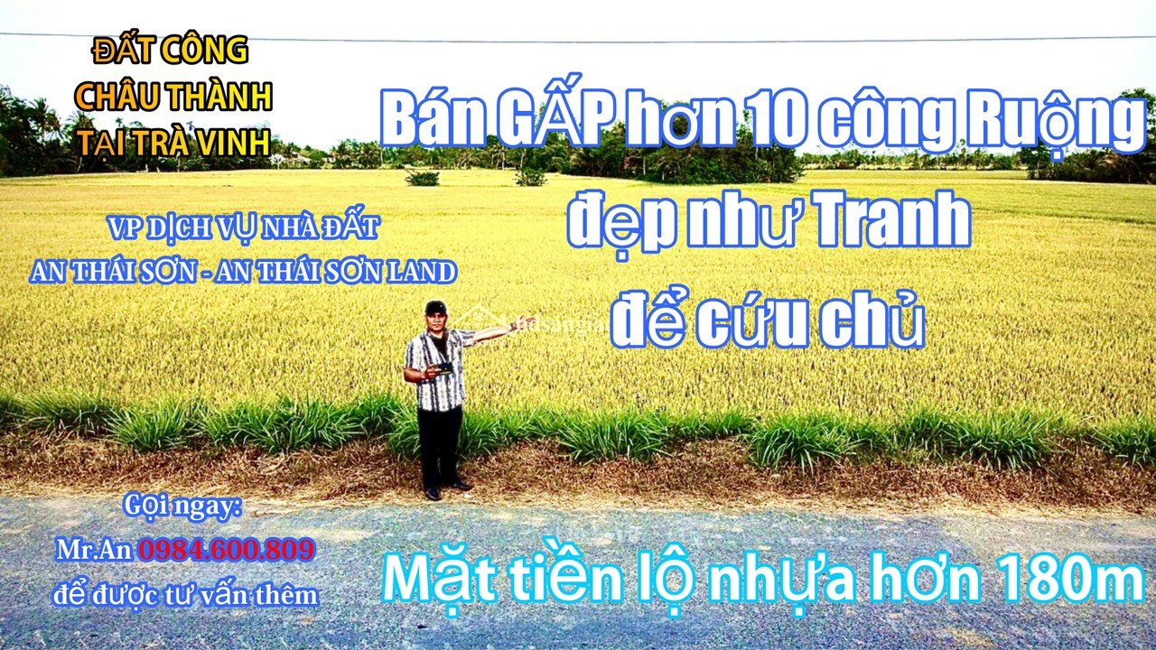 Đất lúa mặt tiền đường nhựa tại Đa Lộc, Châu Thành, Trà Vinh 60,000m² - Giá chỉ 3.5 tỷ!