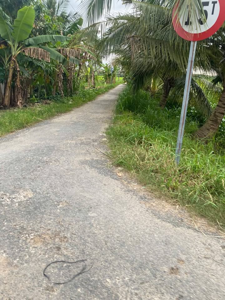 Đất nền Đa Lộc Châu Thành 2327m² giá 372 triệu - Mặt tiền bờ kênh đẹp!