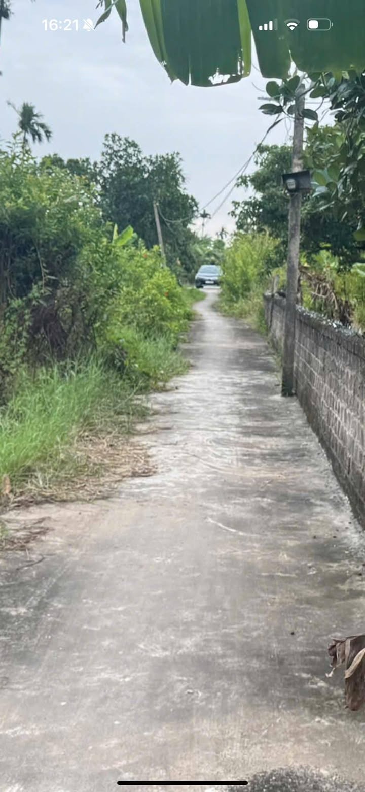 Đất vườn 1026m² tại Cẩm Chế, Thanh Hà - Giá chỉ 500 triệu, sổ hồng đầy đủ!