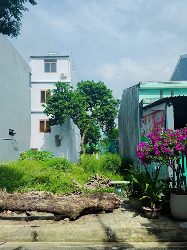 Đất nền đường Phong Bắc 9, Hòa Thọ Đông 100m² giá 4.05 tỷ - Vị trí đắc địa, an ninh tốt!