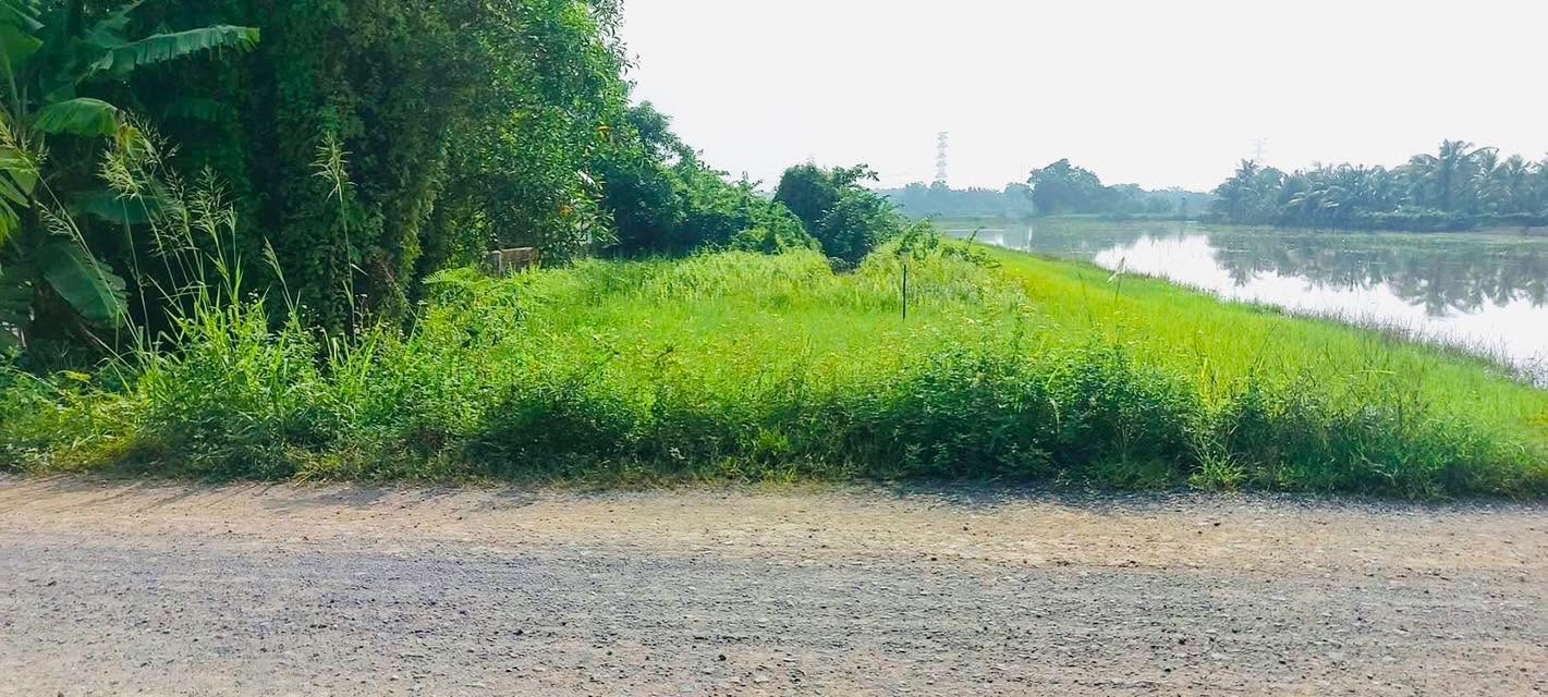 Đất nông nghiệp 927m² tại Phước Vĩnh An, Củ Chi - Vị trí đắc địa cho kinh doanh!