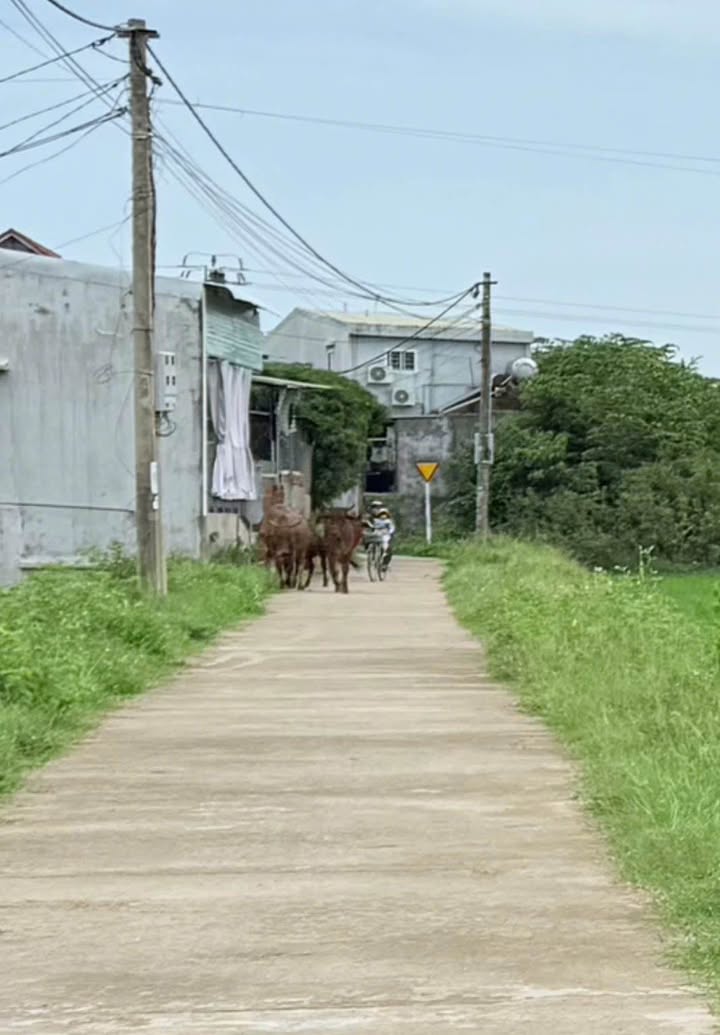 Đất góc 107m² tại Phước Quang, Tuy Phước chỉ 590 triệu - Tiện ích đầy đủ!