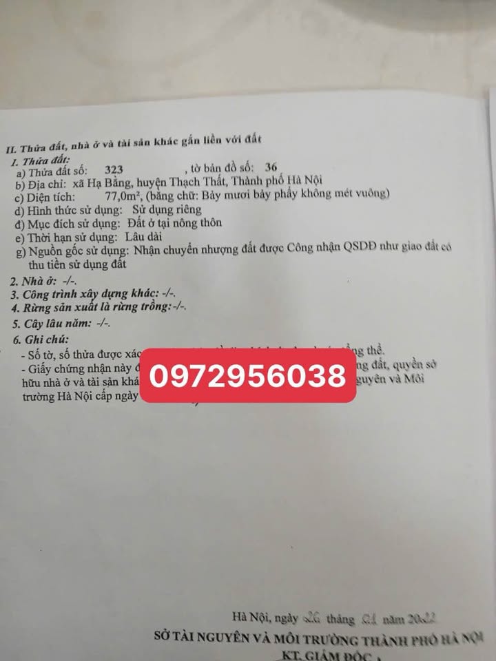 Đất Hạ Bằng 77m² giá chỉ 2 tỷ - Sổ đỏ chính chủ, đường ô tô chạy vèo vèo!