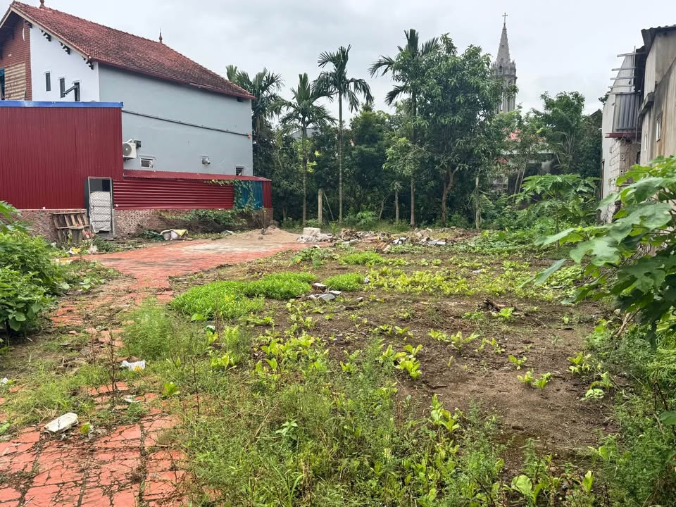 Lô đất 310m² tại An Vĩ, Khoái Châu, Hưng Yên - Giá chỉ 3.1 tỷ, pháp lý rõ ràng!