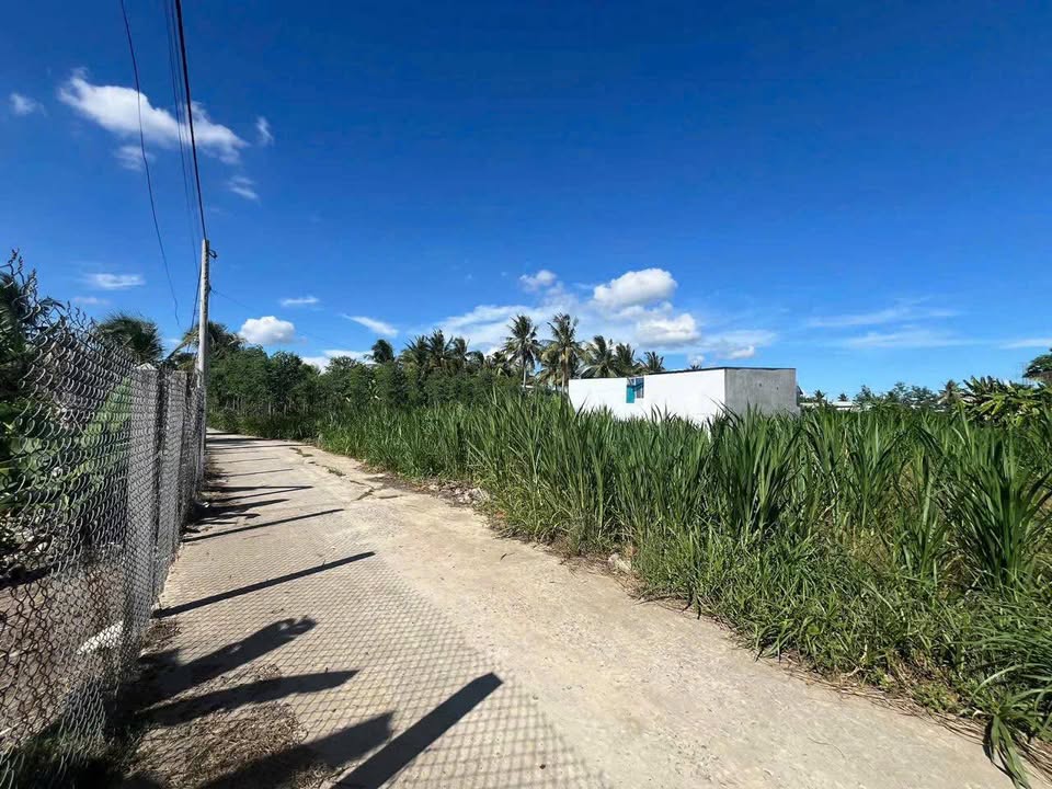 Đất nền Phước Thạnh, Mỹ Tho 175m² giá 600 triệu - Sổ riêng chính chủ!