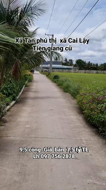 Đất nền Tân Phú, Cai Lậy, Tiền Giang 9500m² - Giá thỏa thuận, cơ hội đầu tư hấp dẫn!