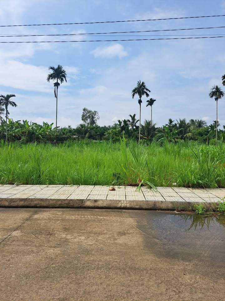 Đất thổ cư 150m² tại Song Bình, Chợ Gạo - Đầu tư sinh lời ngay!