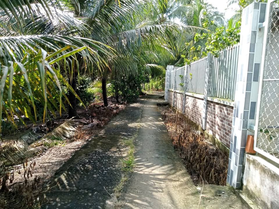 Nhà vườn 1000m² tại Long Bình Điền, Chợ Gạo giá 950 triệu - Đầu tư lý tưởng cho nghỉ dưỡng