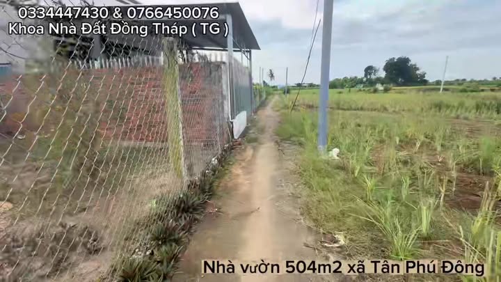 Nhà vườn 504m² xã Phú Thạnh giá 450 triệu - Không thể bỏ lỡ!