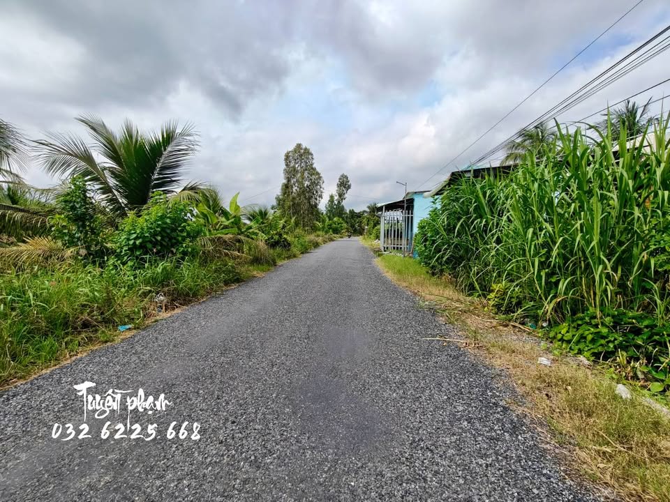 Đất mặt tiền đường Kênh Nổi, xã Lương Hòa Lạc, 292m² giá 600 triệu - Đầu tư sinh lời!